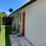 Frangipani