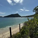 Frangipani