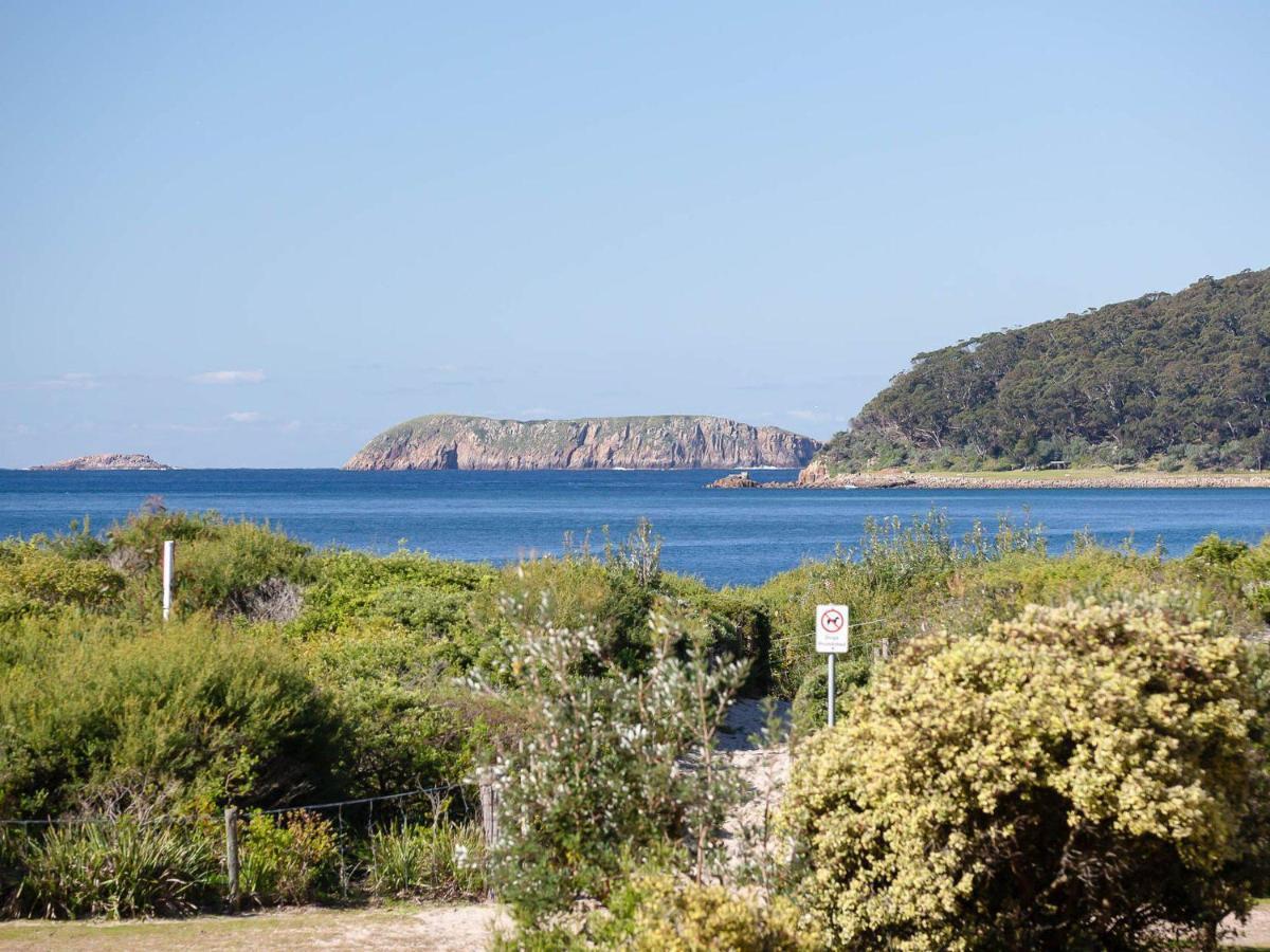 Intrepid 1 3 Intrepid Close Amazing Views Of Only 100m From The