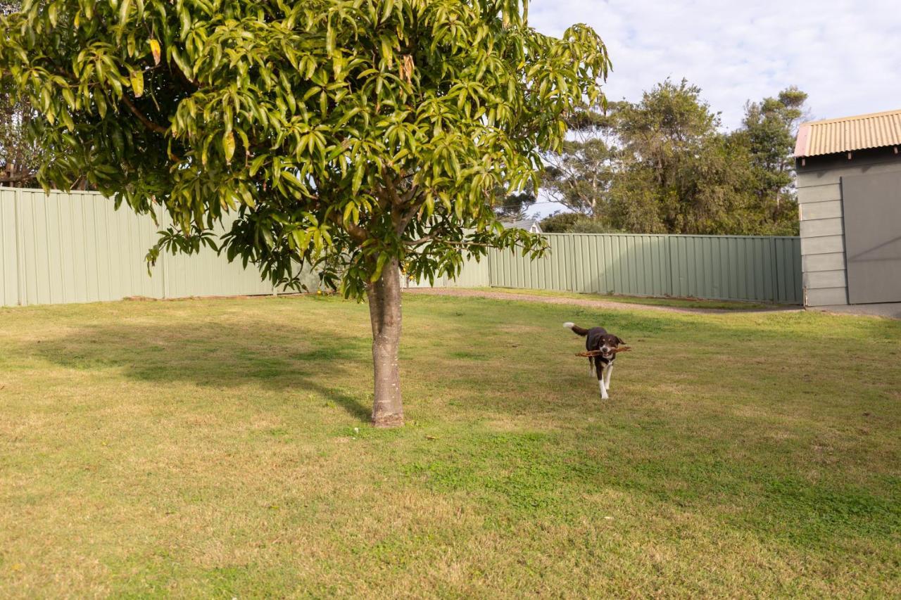 Bay Dream Believer, Ample Boat Parking, Pet Friendly 4 Bedroom Holiday House