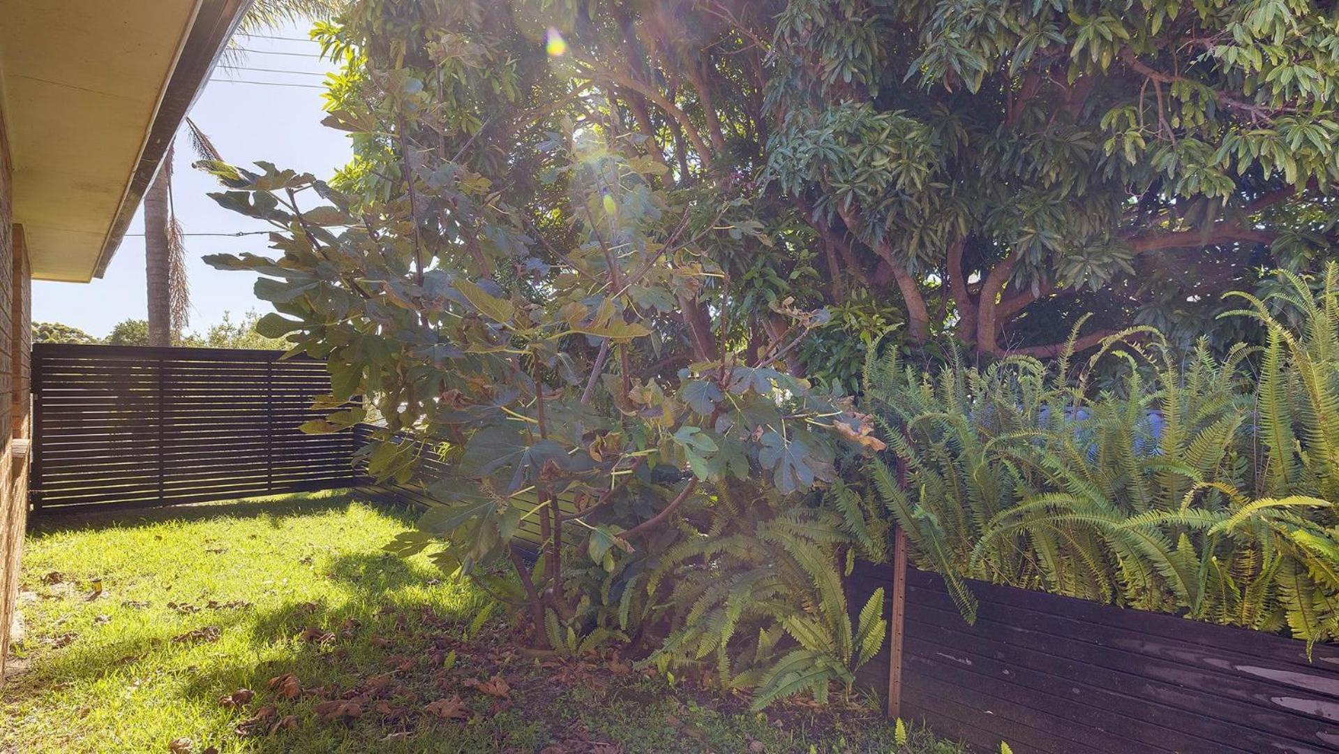 Walking Distance To * Shoal Bay