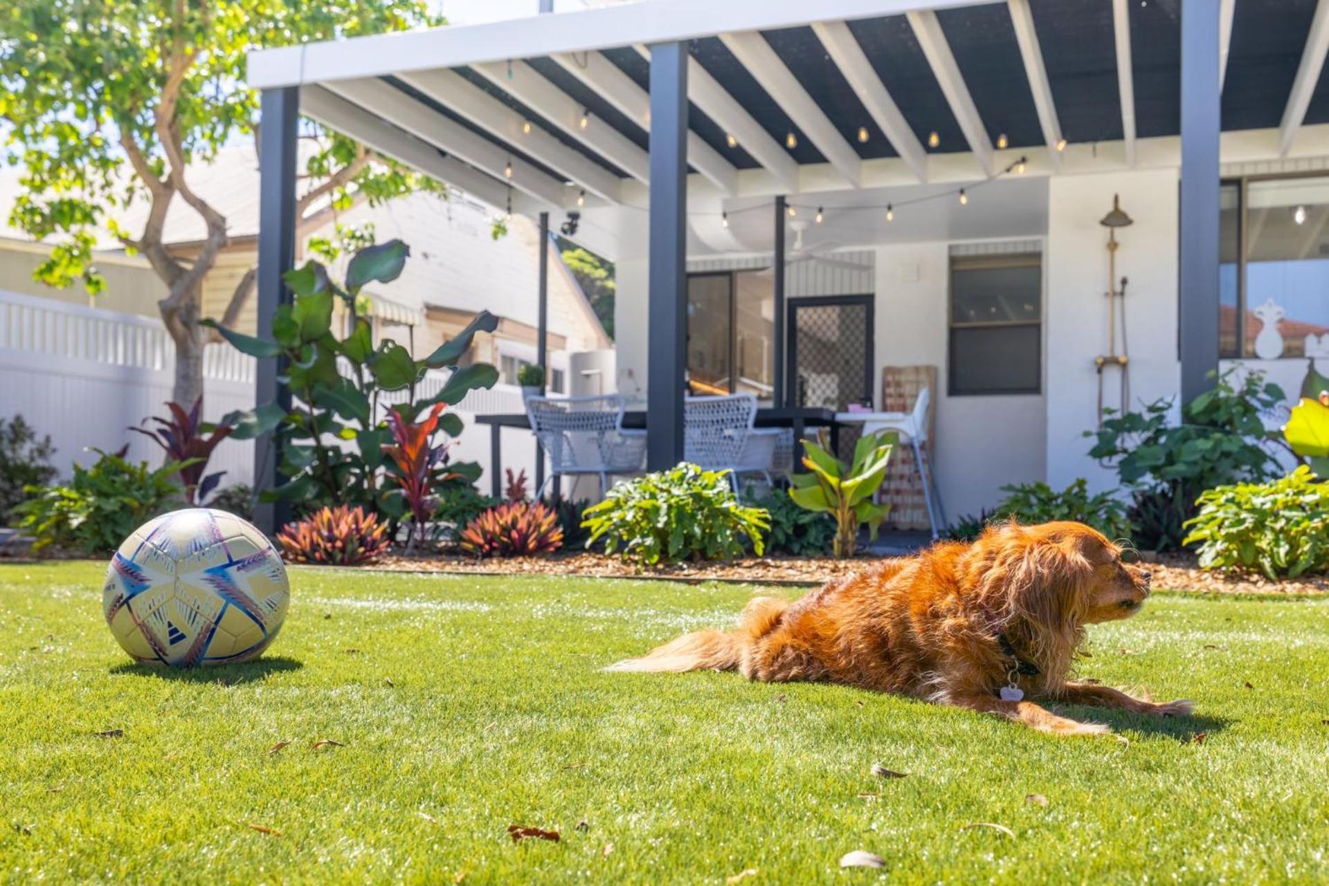 Nordic House, 49 Tomaree Rd - Pet Friendly House Over 2 Levels Shoal Bay