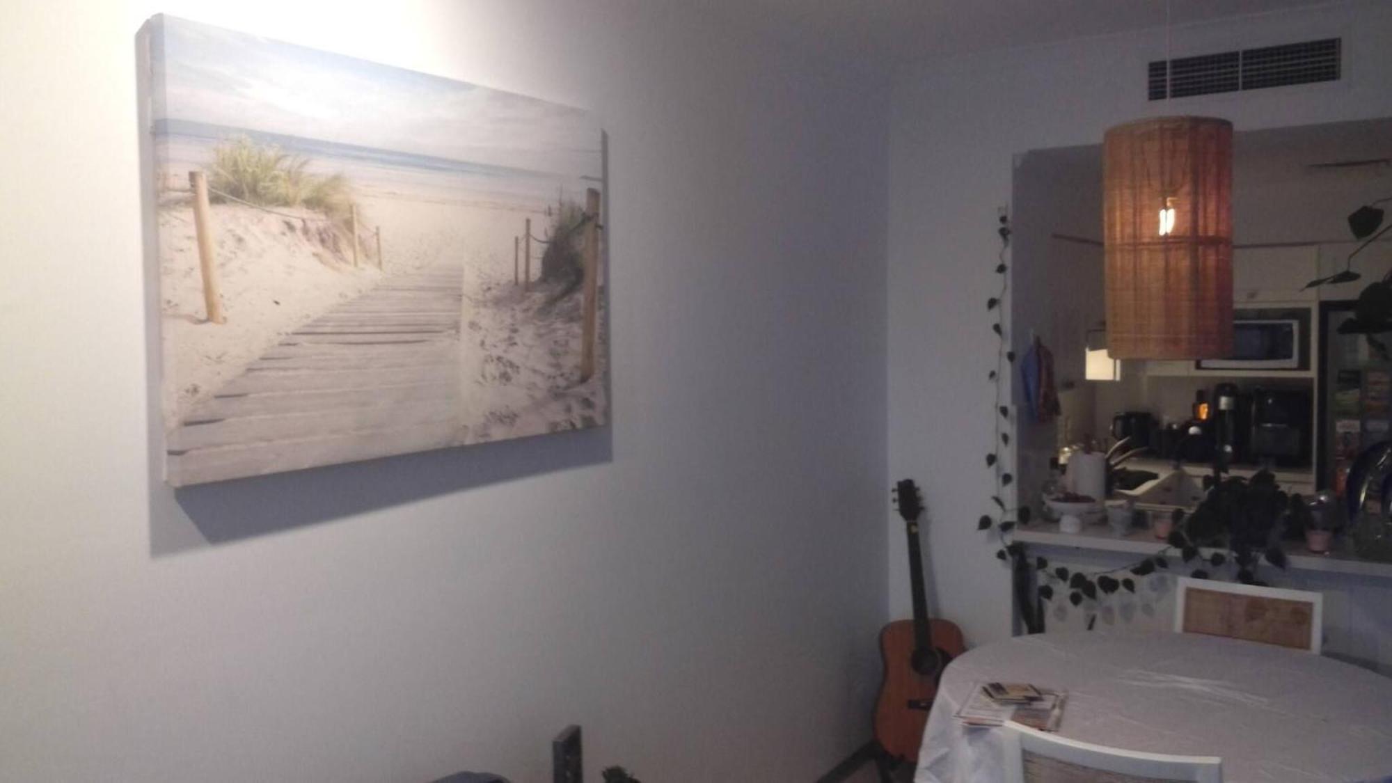 In Guest - Backpackers Dream Girls Party Nightcouples Shoal Bay