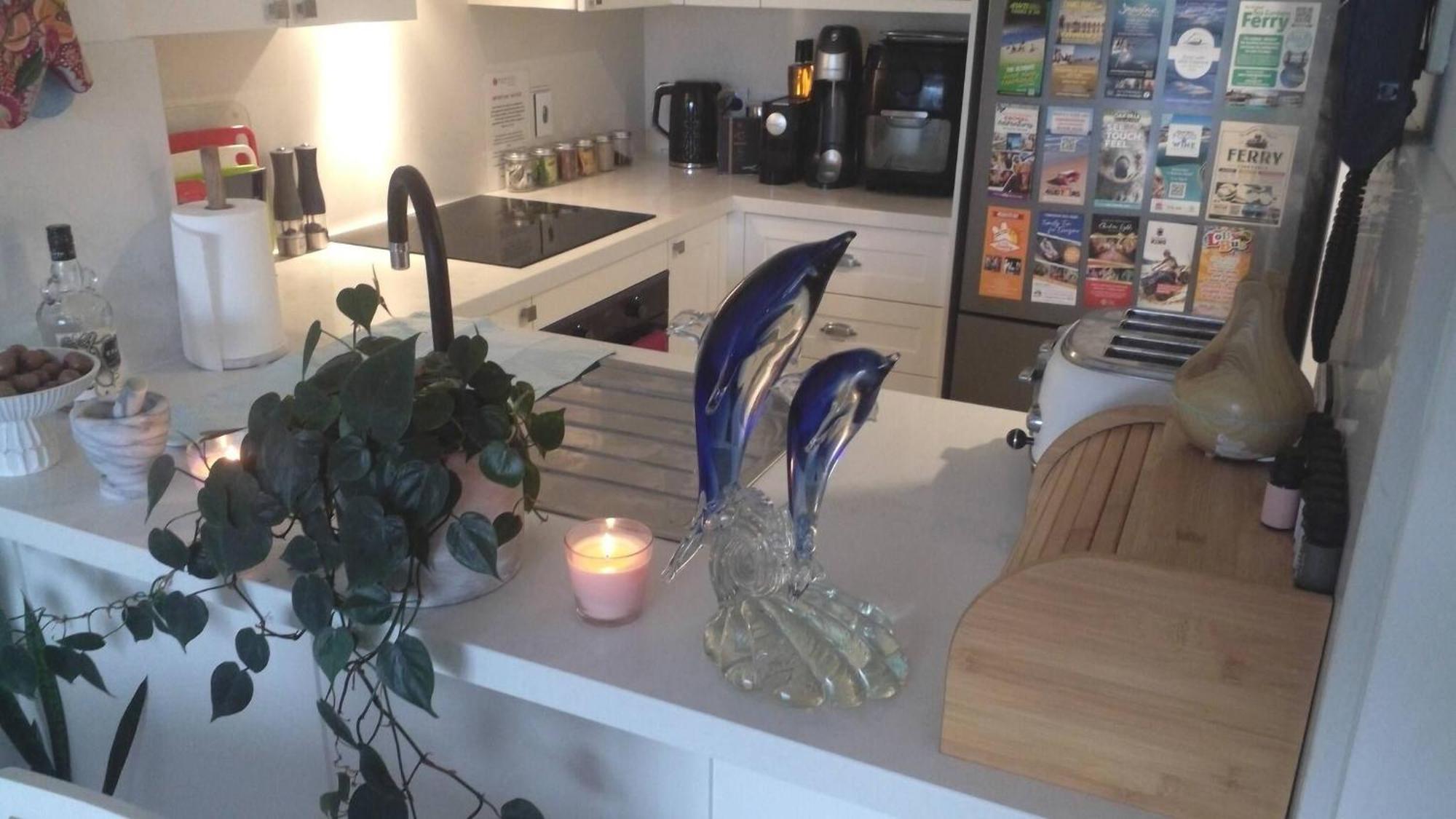 In Guest - Backpackers Dream Girls Party Nightcouples Shoal Bay