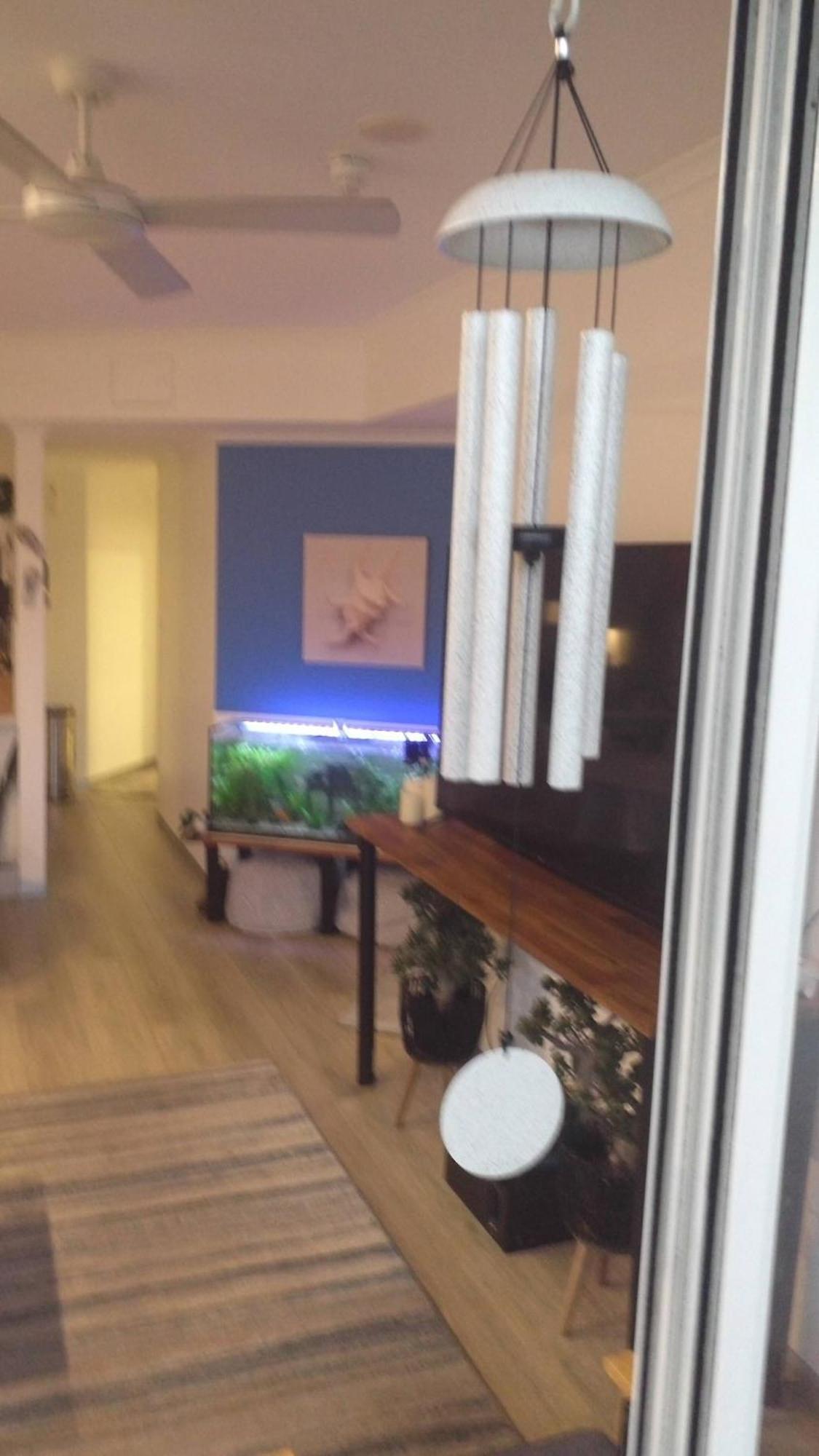 Guest house In Guest - Backpackers Dream Girls Party Nightcouples Shoal Bay